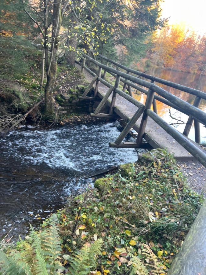 Moderne Und Zentral Gelegene Ferienwohnung In Braunlage Mit Rodelpiste Und Start Ski Langlauf In 300 Metern Entfernung Exteriér fotografie