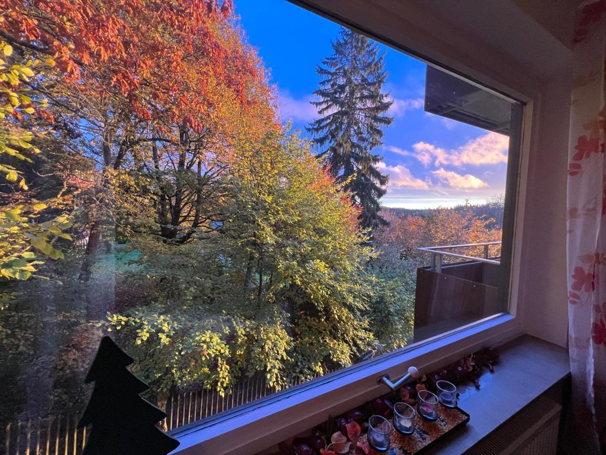 Moderne Und Zentral Gelegene Ferienwohnung In Braunlage Mit Rodelpiste Und Start Ski Langlauf In 300 Metern Entfernung Exteriér fotografie