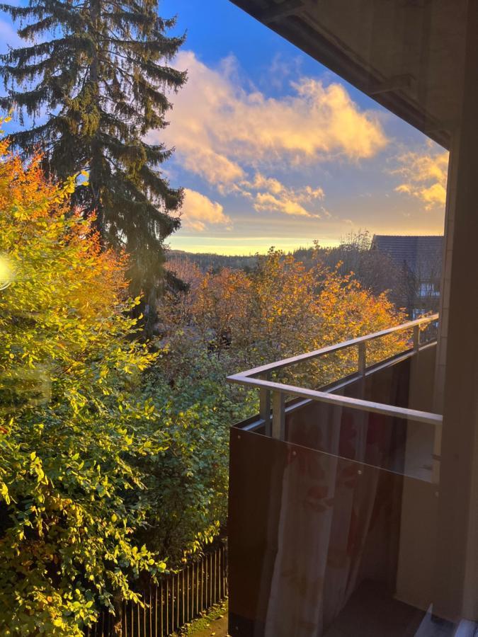 Moderne Und Zentral Gelegene Ferienwohnung In Braunlage Mit Rodelpiste Und Start Ski Langlauf In 300 Metern Entfernung Exteriér fotografie
