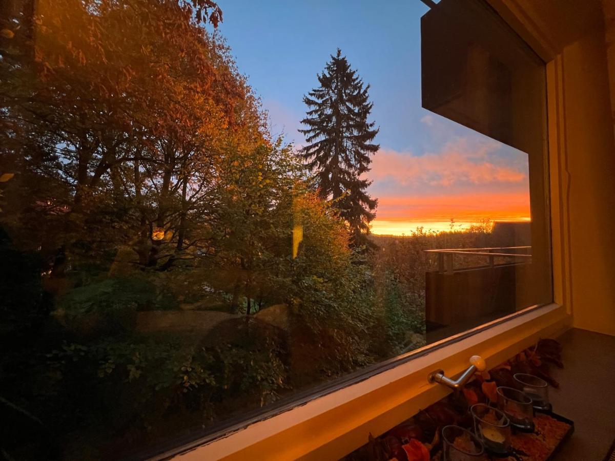Moderne Und Zentral Gelegene Ferienwohnung In Braunlage Mit Rodelpiste Und Start Ski Langlauf In 300 Metern Entfernung Exteriér fotografie